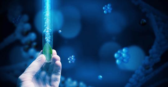 量子医学的惊天骗局