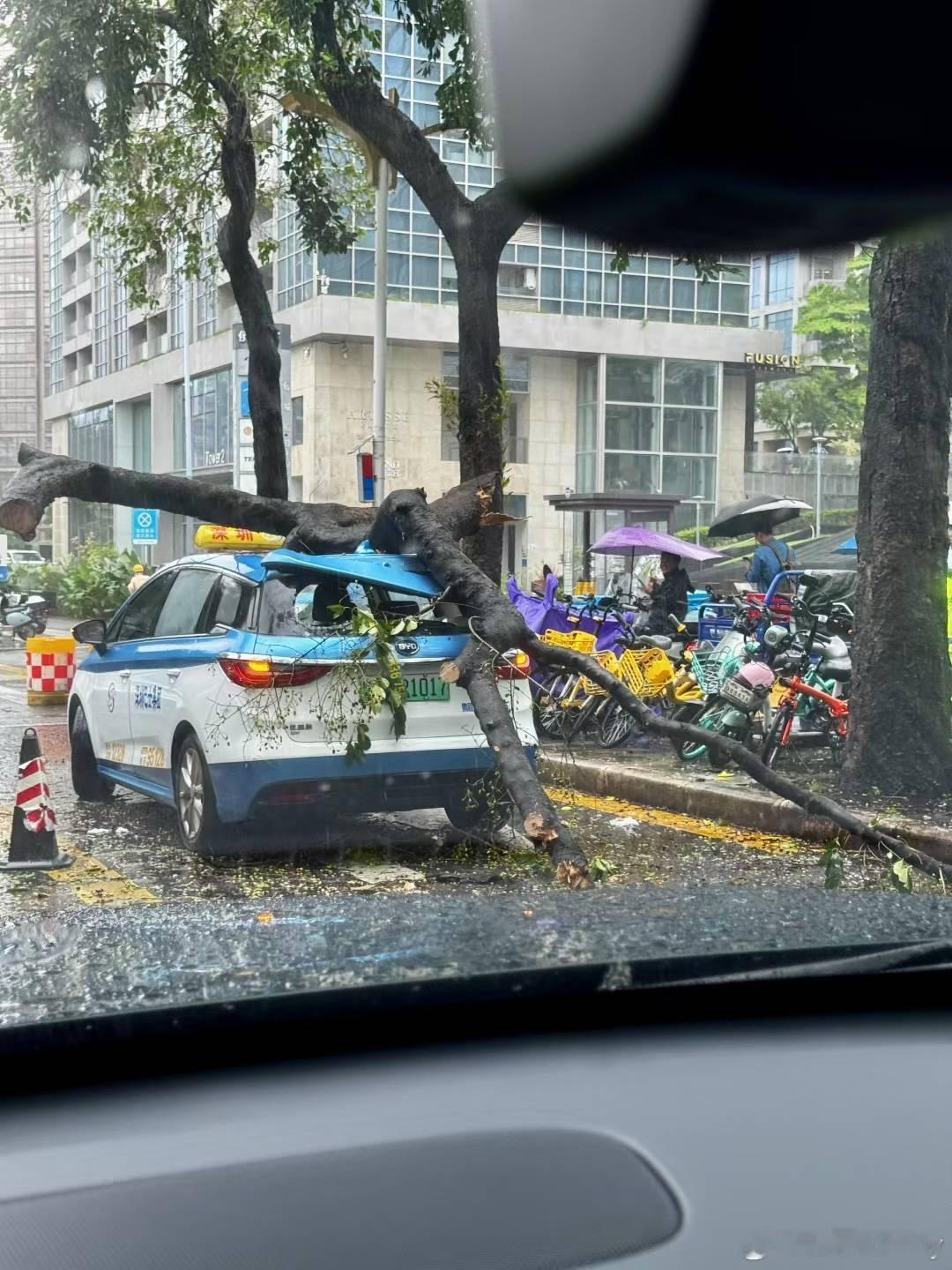 深圳台风有点猛😧，兄弟​​​