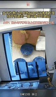 “笑不活了！”浙江，一女子在路边捡到一只小鸟，就把它带回家收养。可女子想到鸟儿没