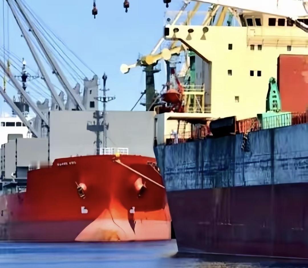 一艘装着6.9万吨巴西大豆的船到中国港口，查出大豆里混杂农药处理过的麦粒。这批货