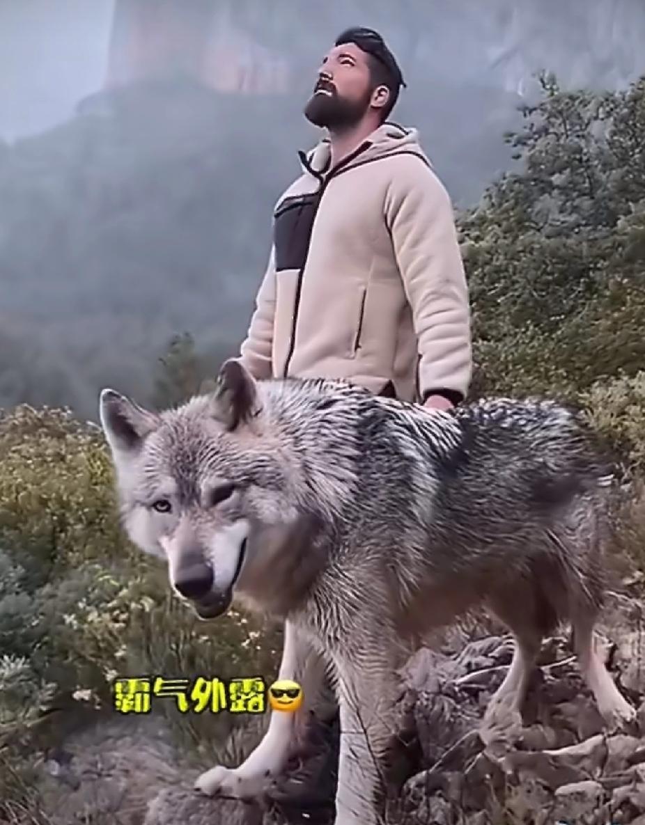 谁能想到捡只小狗也能“开盲盒”？国外网友路边捡到只快冻僵的小奶狗，圆脸蛋、软乎乎