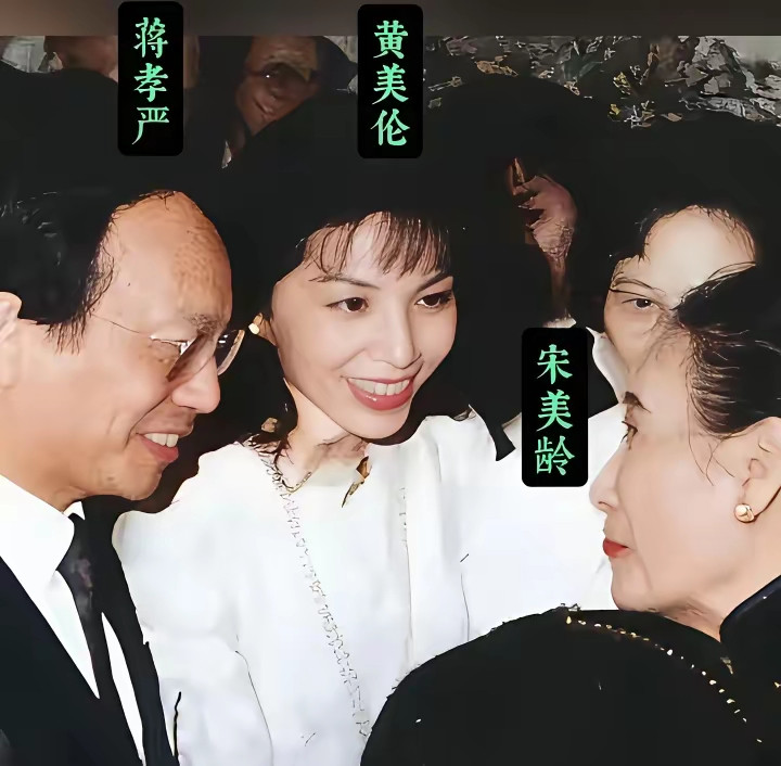 蒋孝严带妻子黄美伦拜见宋美龄，想谋求蒋家的身份认可。宋美龄态度也很明确，可以客气见面，但绝不承认他们