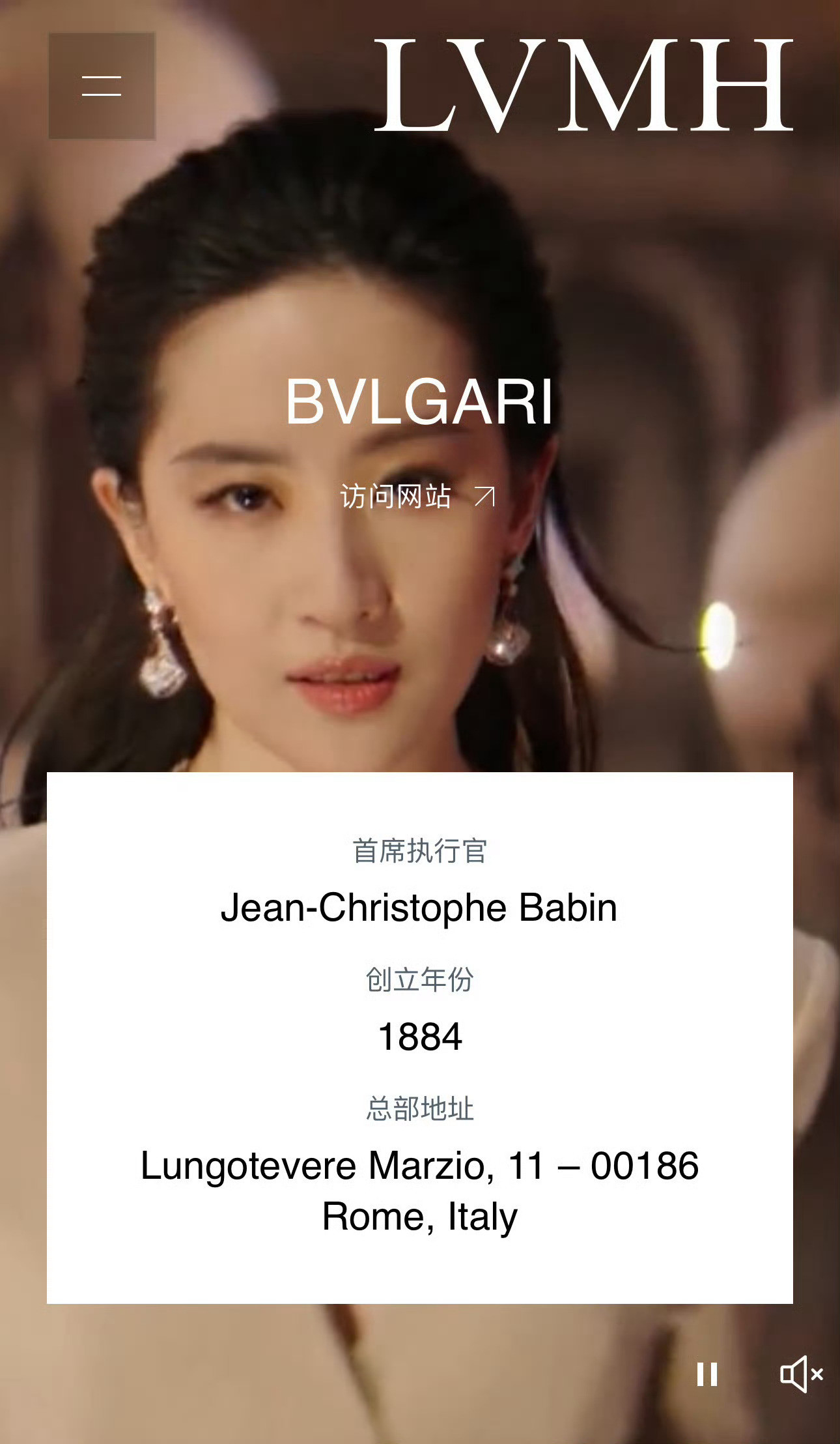 LVMH集团的门面，LVMH全球最美代言人刘亦菲