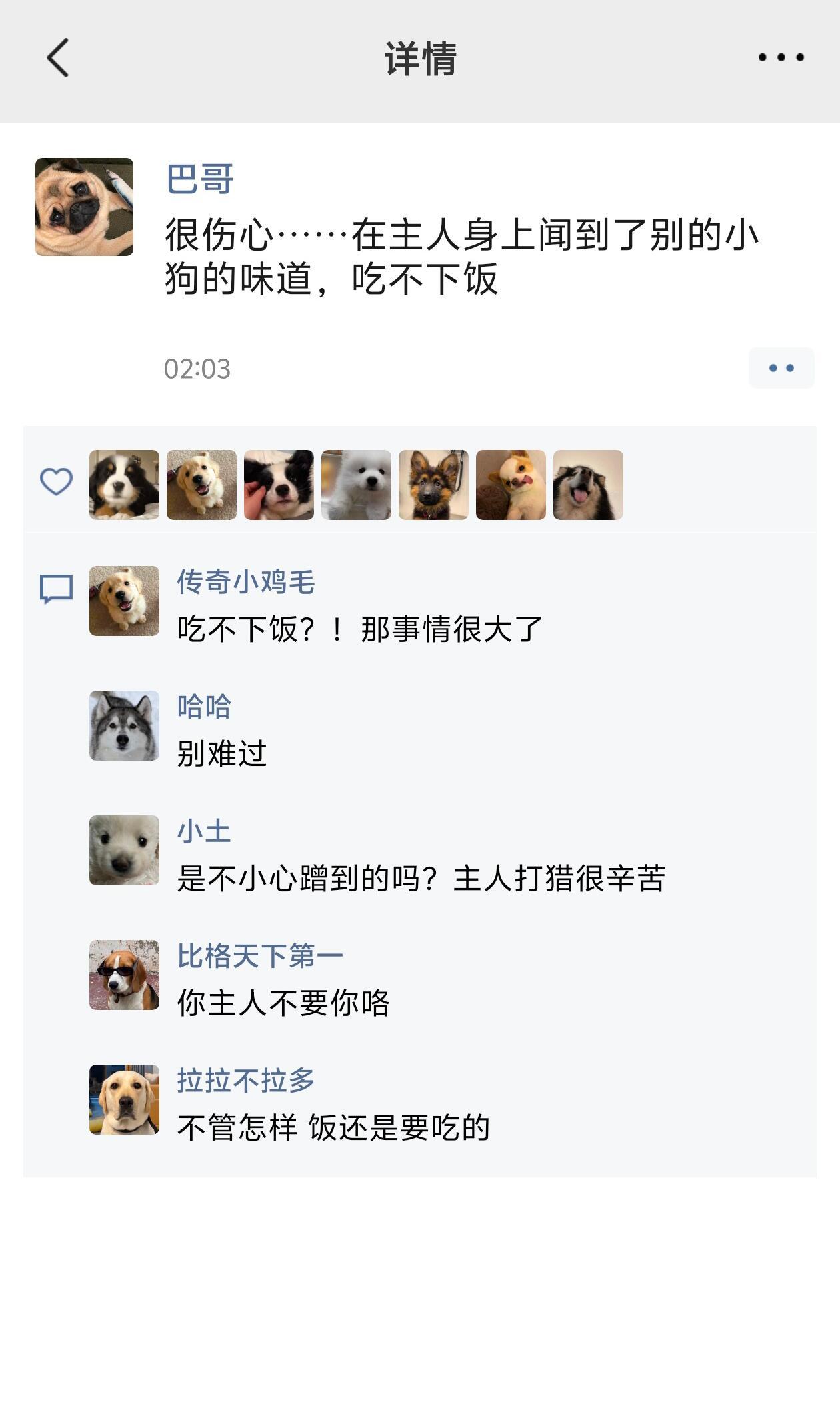 小狗的朋友圈比人类的还精致