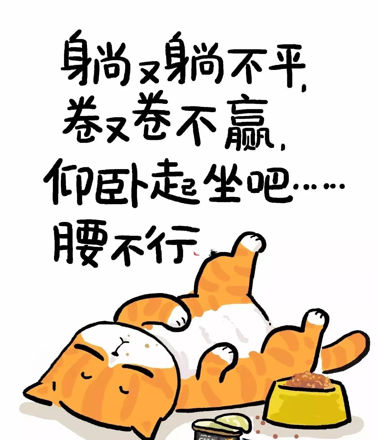 但是呢，偶尔的情况我也会看一看，比如说我今天突然发现所有的小作文都有两个数据指标