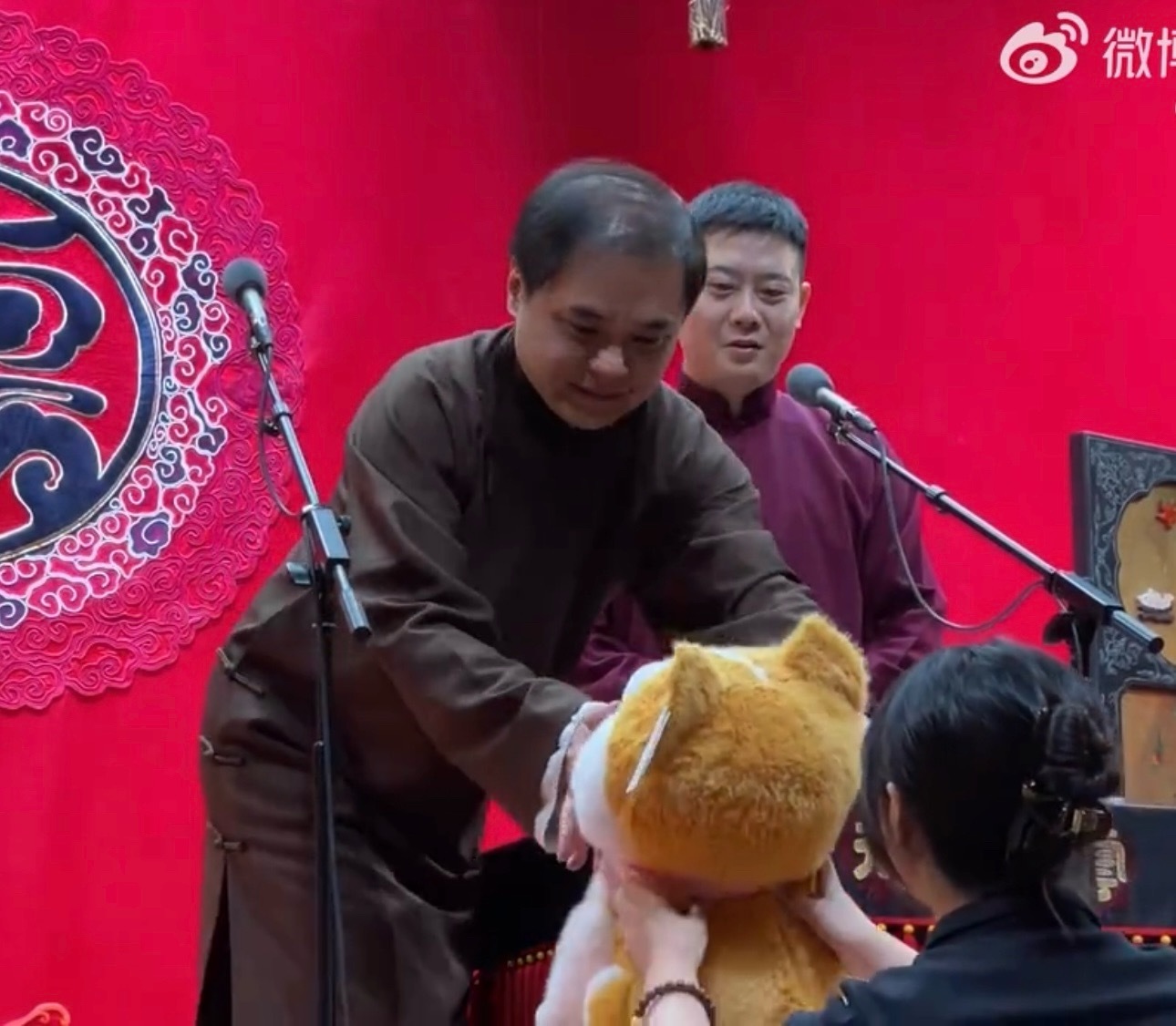友友送的企鹅好可爱哇🤩​​​