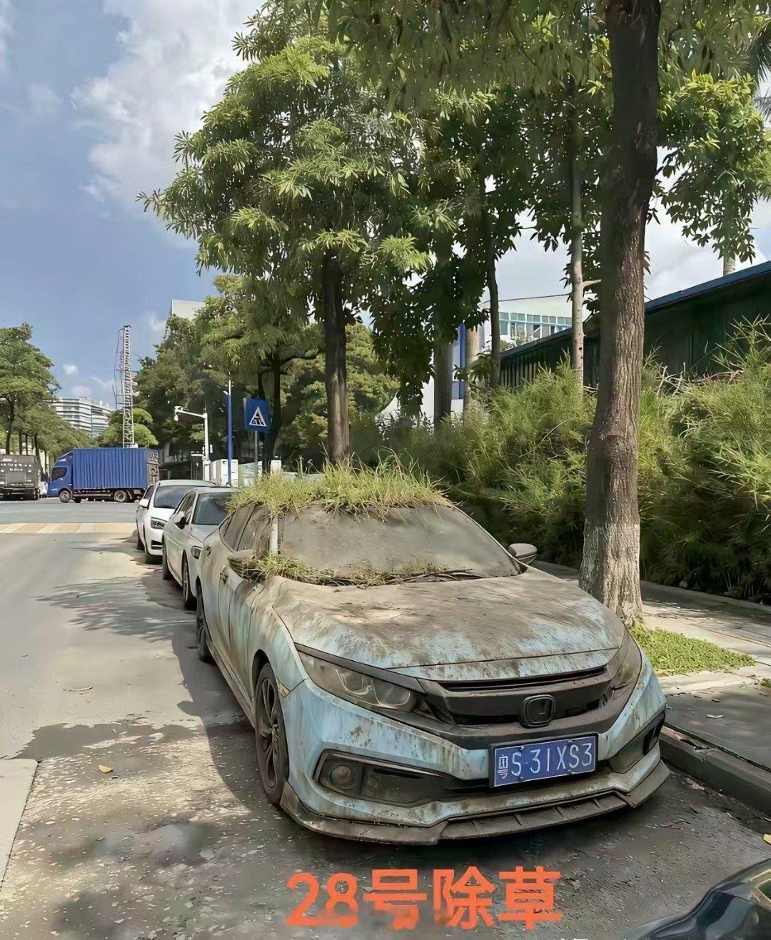除除草准备赶路两箱油选手准备出征[捂脸哭]车界亮点新车​​​
