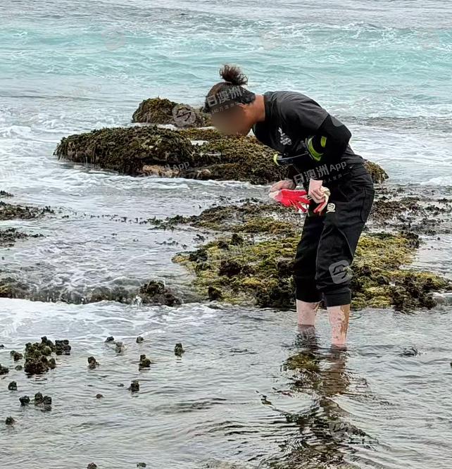 30岁中国留学生澳洲海滩赶海，被海浪卷走身亡。事发2月1日下午，彭某和三个朋友一