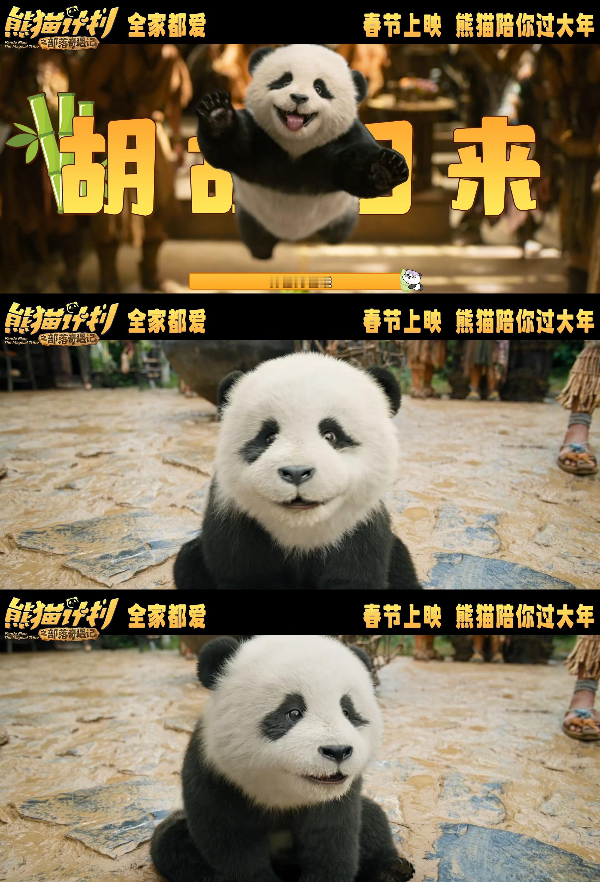 熊猫计划取景中国最后的原始部落哇哦，熊猫计划取景中国最后的原始部落。神秘氛围拉满