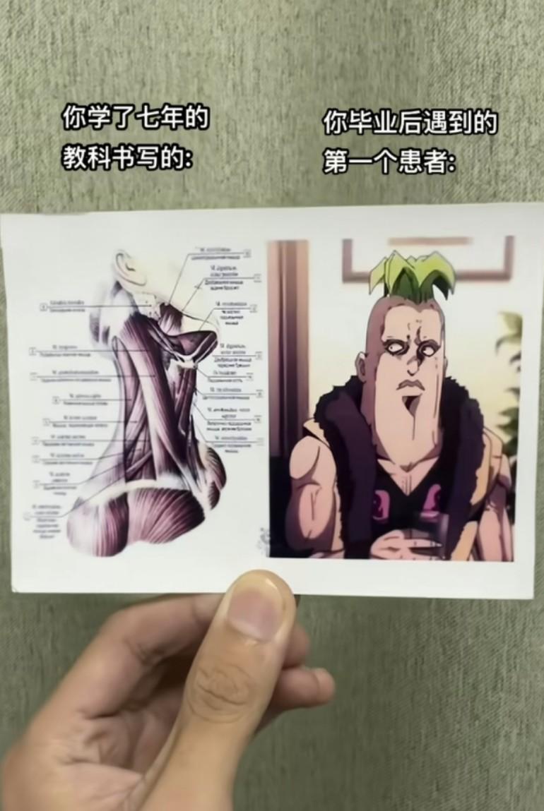 怎么和书上教的不一样?怪不得考生物的时候，要画那个狗屁不通的图，贝西你怎么了