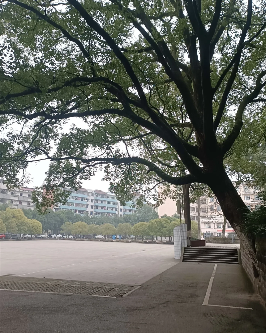 禁酒令一下，效果真的是立竿见影。我们镇上那些做餐饮的朋友纷纷感叹，现在就没有体