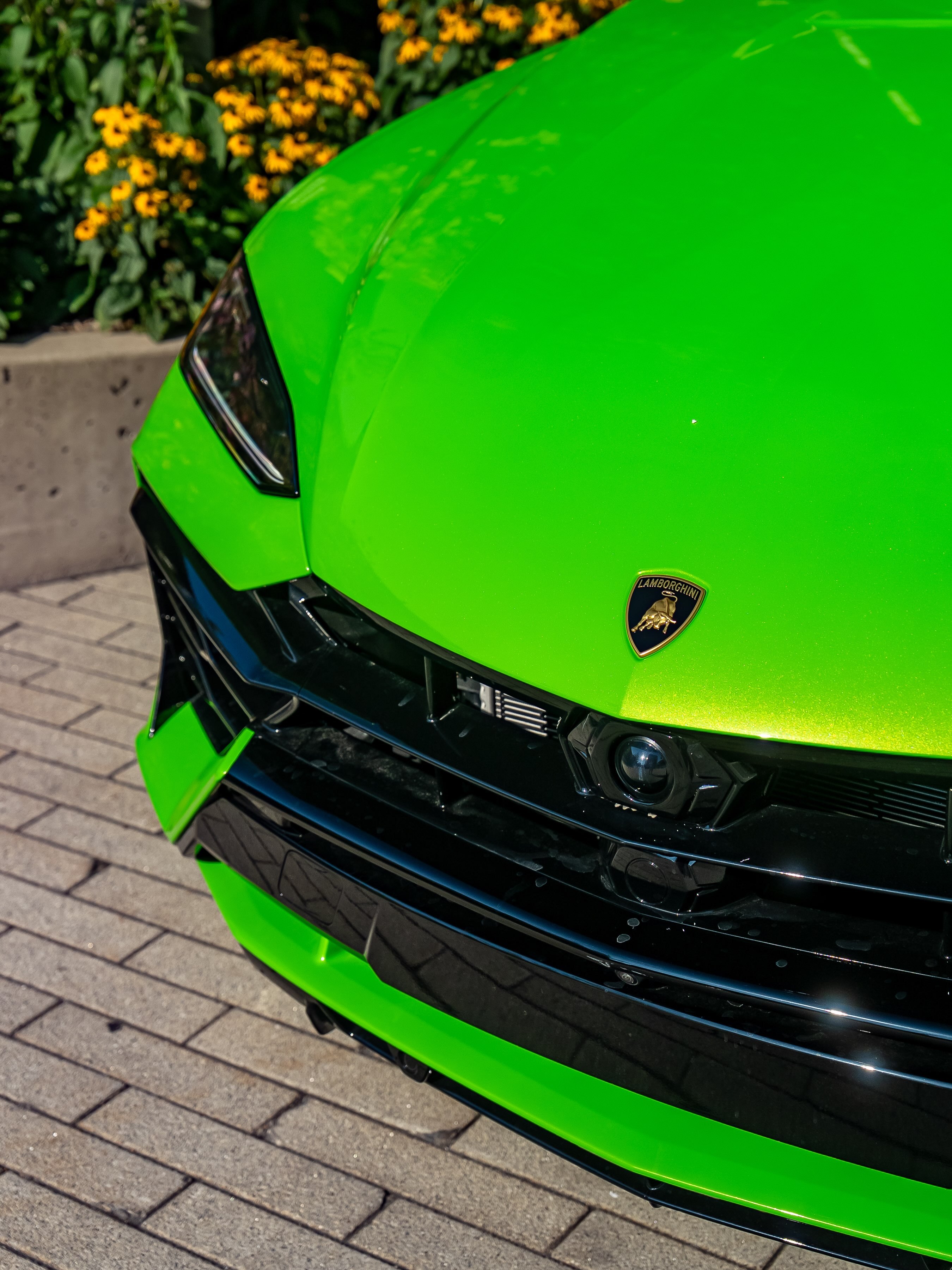 LamborghiniUrusSE💚#兰博基尼urus##urus#​​​
