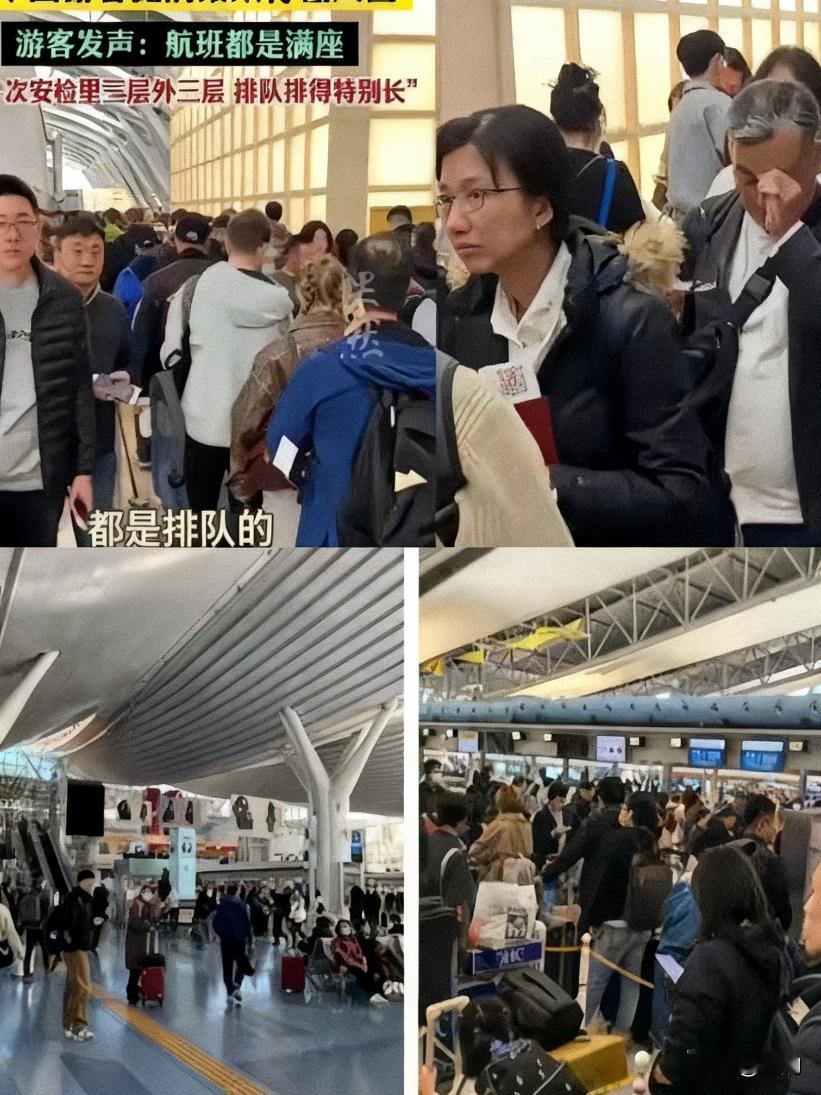 近期网络传言称“东方大国人抢订赴日航班致全停，似大战在即，在日同胞却毫无反应”，