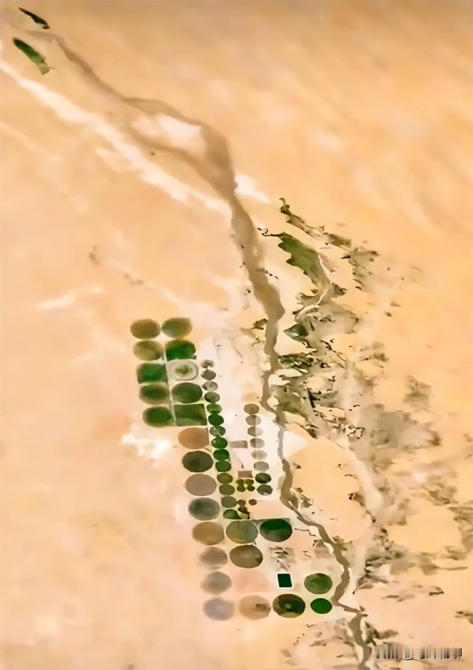 知道这是什么吗？在我国塔克拉玛干沙漠边缘，有一串这种圆形的图案，从高处看特别显眼