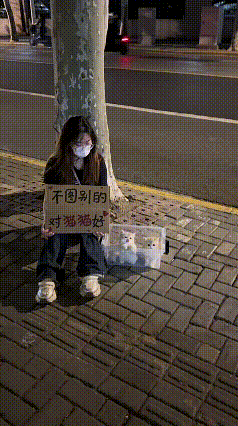 刷到这一幕，心里一下就沉了下来。夜晚的街头，姑娘蹲在树下，举着“不图别的，对猫猫