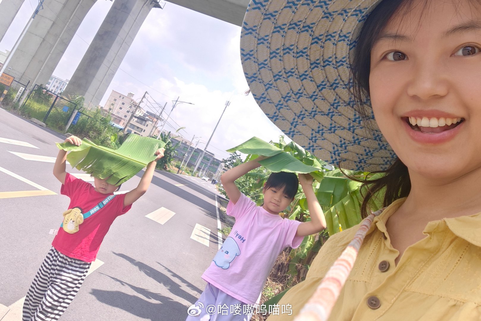 带娃去看看哈喽，哈喽长草了耶