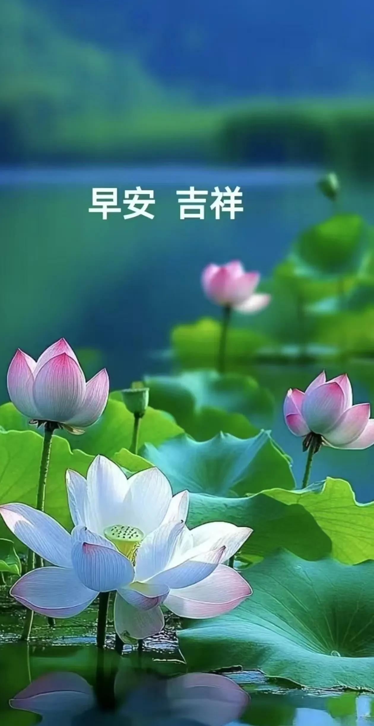 #上联:鸟鸣花艳春光好，求下联#蛙鼓荷香夏意浓。