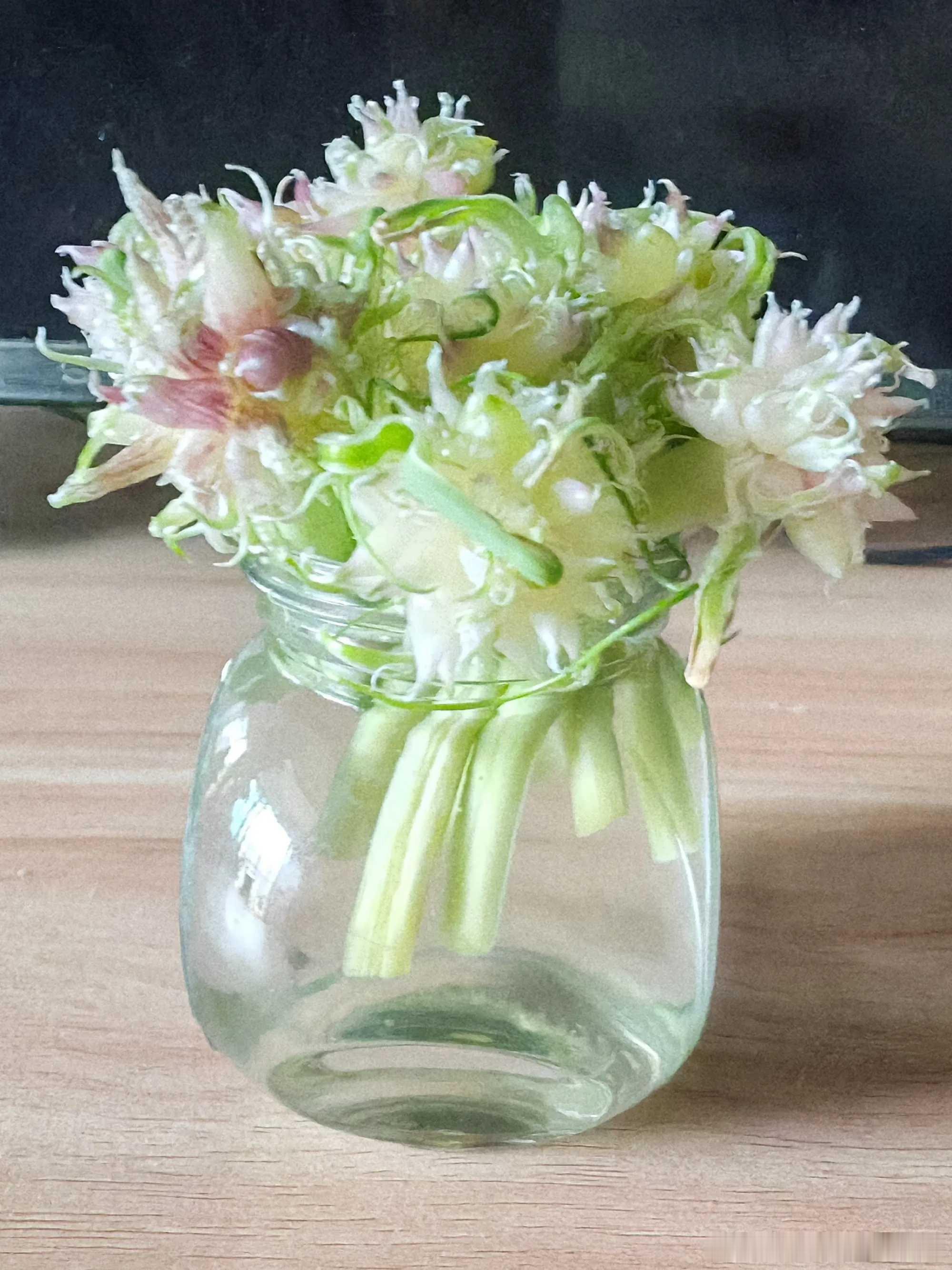 水培蒜苔水培蒜苔，茎秆黄了软了，剪短再养看看。第一图我的蒜苔花，第二三图网上的蒜