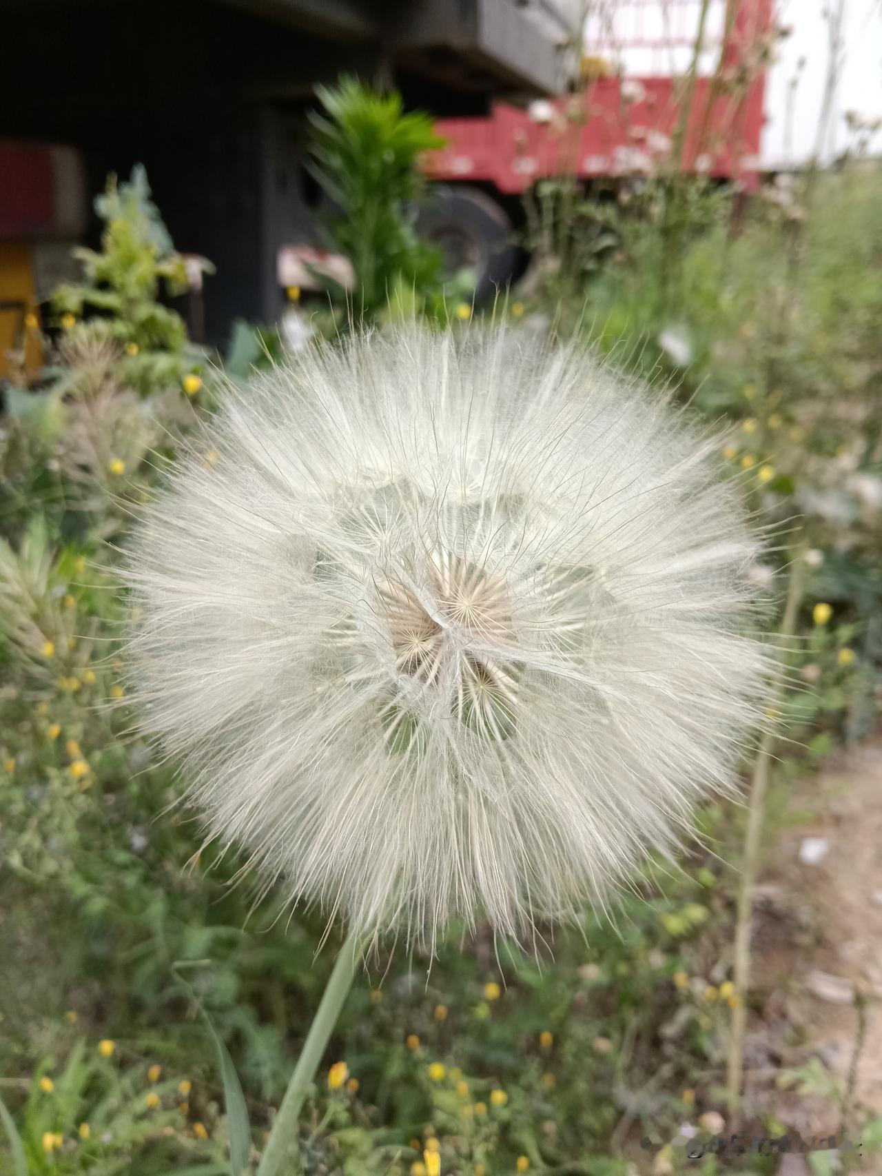 祖辈流传下来的民间老话，藏着生活大智慧1、农历初二、初九、二十二出生，头脑聪