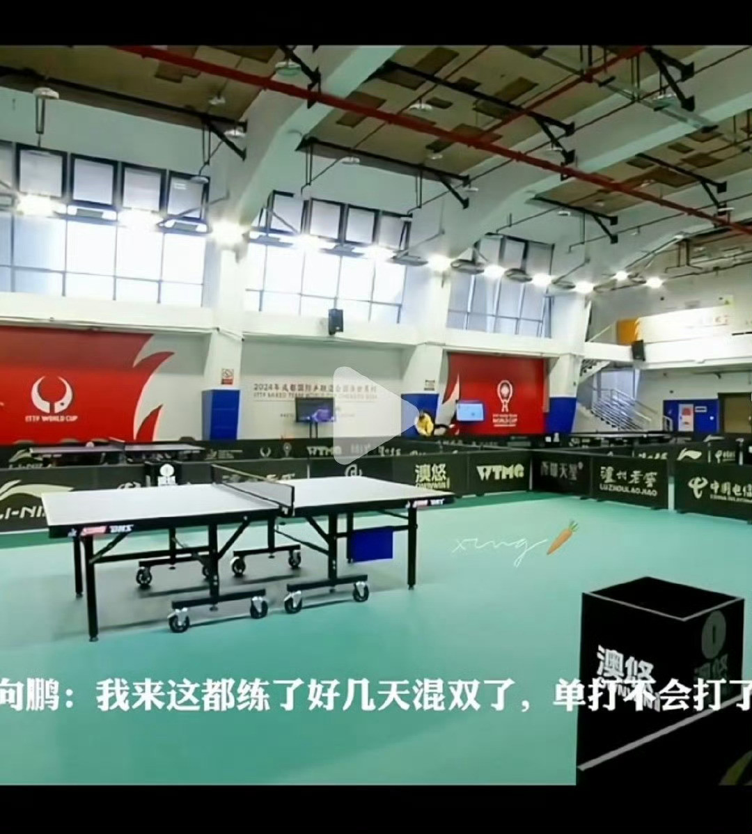 王楚钦早已不是巴黎周期的王楚钦了不会再任劳任怨被你们欺负了能尽力能打比赛