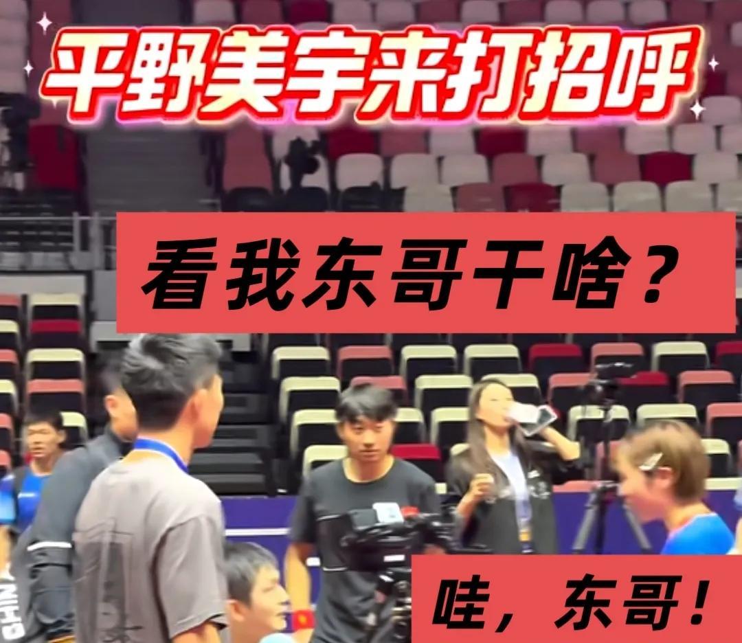 平野美宇刚伸手，赵子豪眼神就锁死！兄弟雷达瞬间开机，一秒不带眨眼。乒超后台，