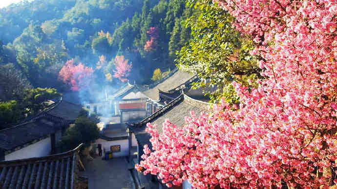 大理，红了枝头·青了黛瓦！