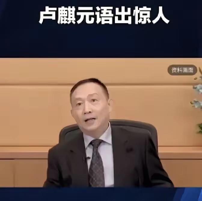 卢麒元不久前发文批评