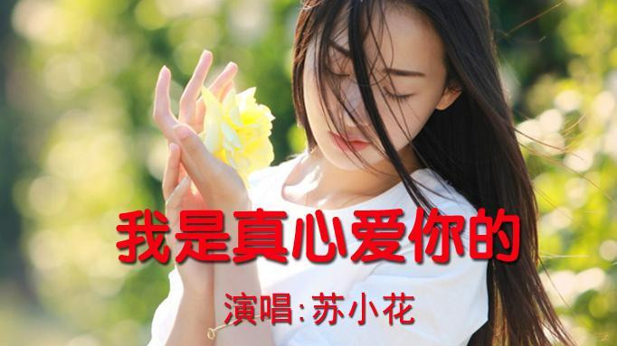 《我是真心爱你的》真心情歌,听着幸福!