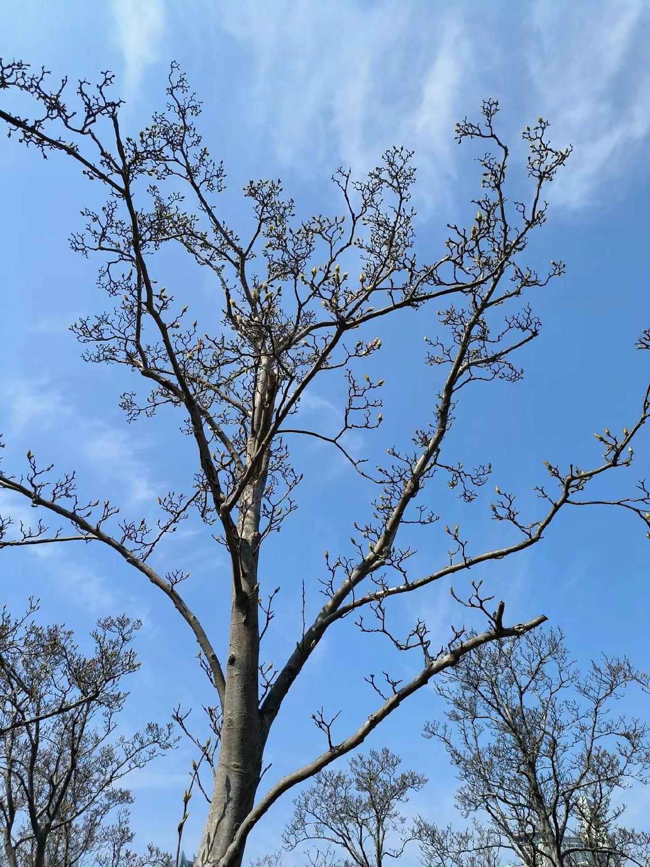 景点打卡我用摄影看世界感受春的气息享受大自然