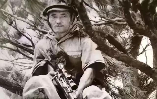 影视里的日军狙击手好像很风光，但现实中他们命运悲催。就像这名被美军围控在树林中还