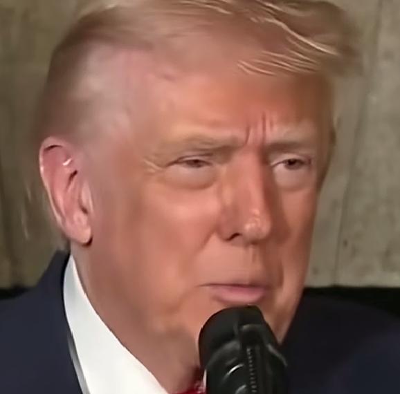 美国总统特朗普宣布，在埃及，卡塔尔和土耳其支持下，已经和巴勒斯坦伊斯兰抵抗组织哈