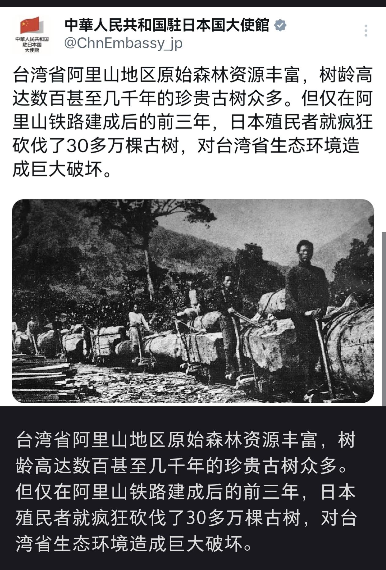 台湾省阿里山地区原始森林资源丰富，树龄高达数百甚至几千年的珍贵古树众多。但令人痛