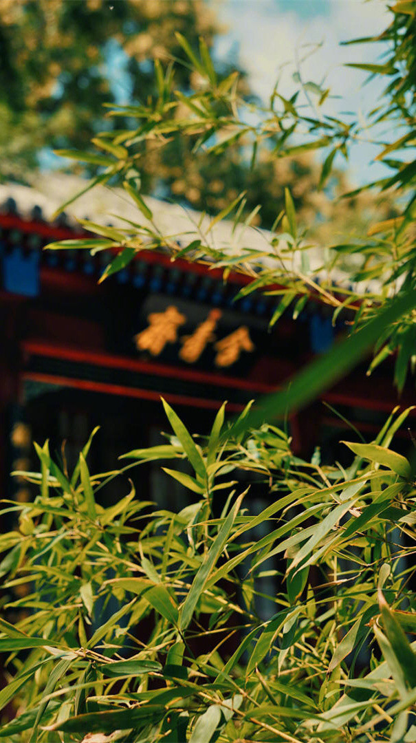 懂得了因果，也就看淡了得失。人生在世，有得必有失，得失平衡；无得也无失，得失两空