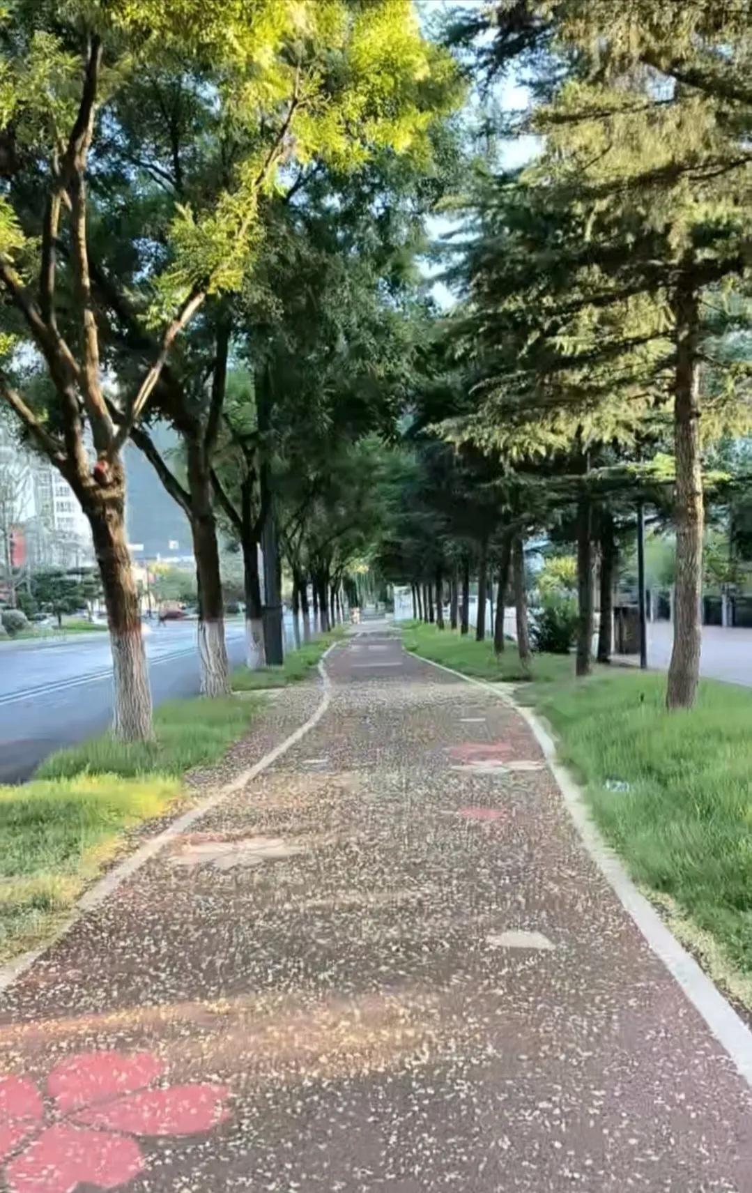 杀狗剥皮的因果事件。栾川西北有一家人，某天院里进了一条黑狗，这家主人起了杀狗吃肉