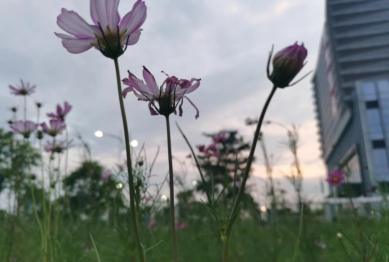 姐姐又发视频来诉苦，说她老公懒，说她老公自私，说她老公好吃懒做，说她老公出轨，我