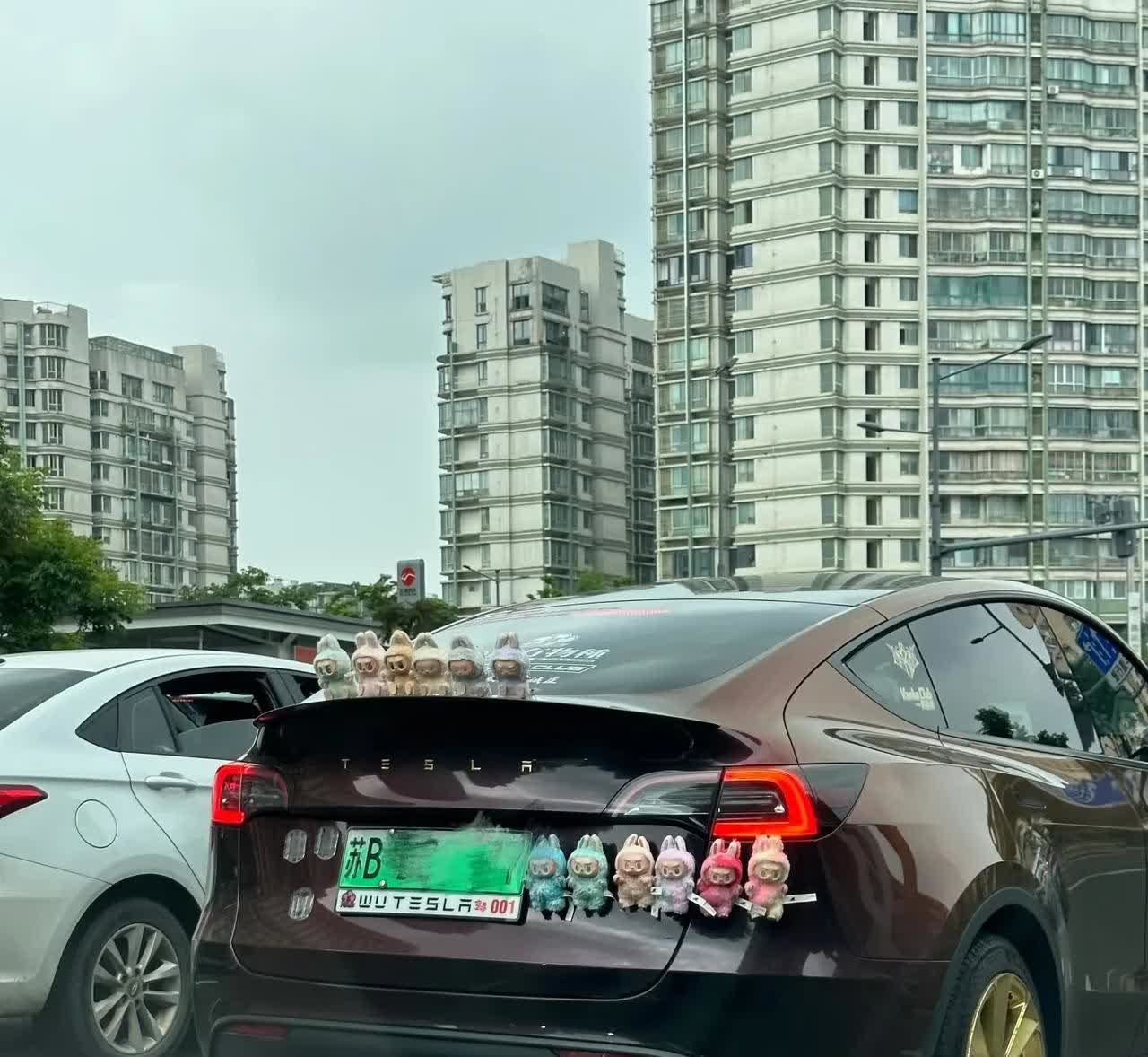 路上偶拍的车位挂满labubu的特斯拉特别好奇车主是多有钱买这么多的l