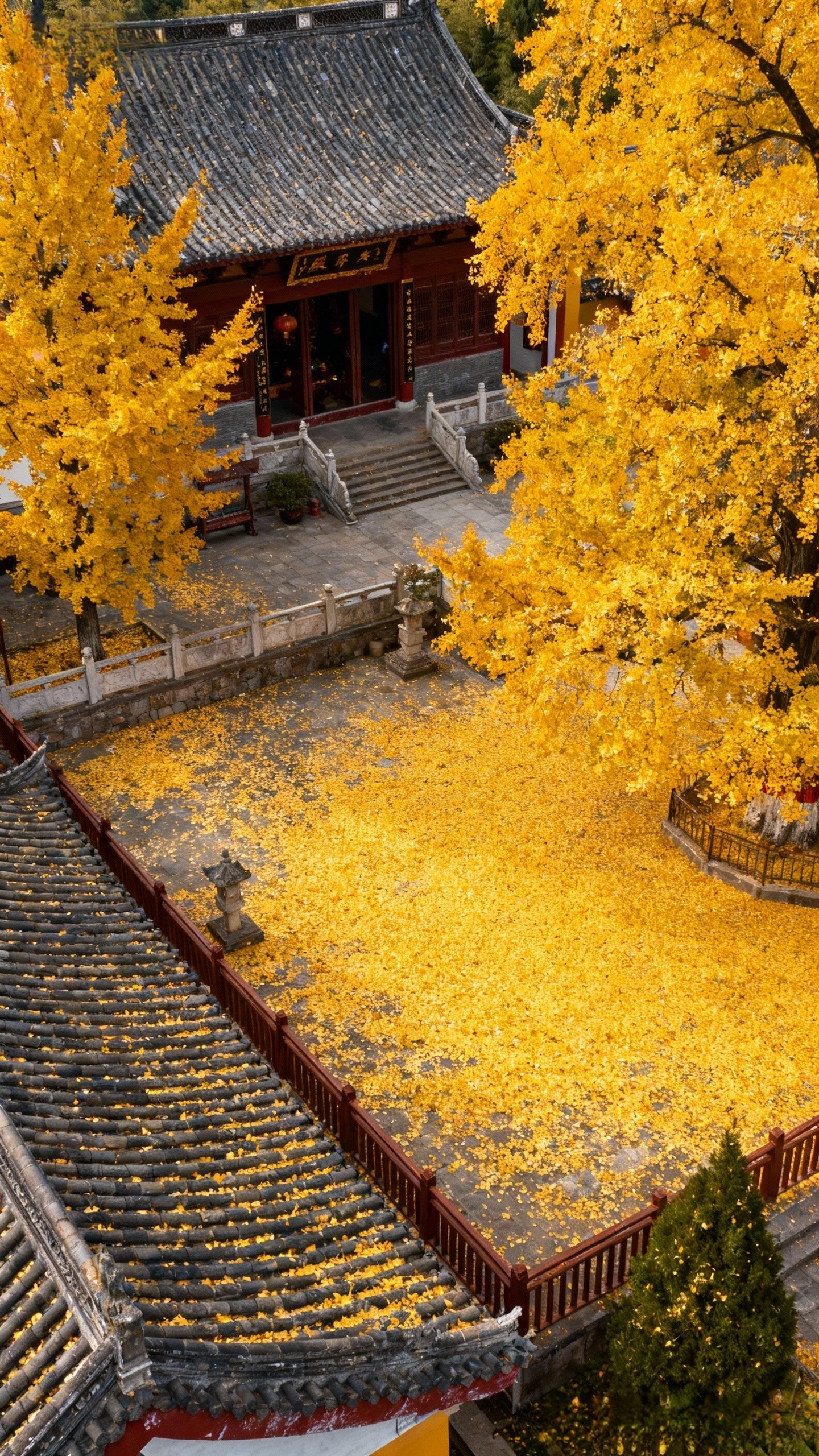 让你第一眼感到惊鸿的句子~1.放弃不难，但坚持很酷。——东野圭吾2.给时光以生命