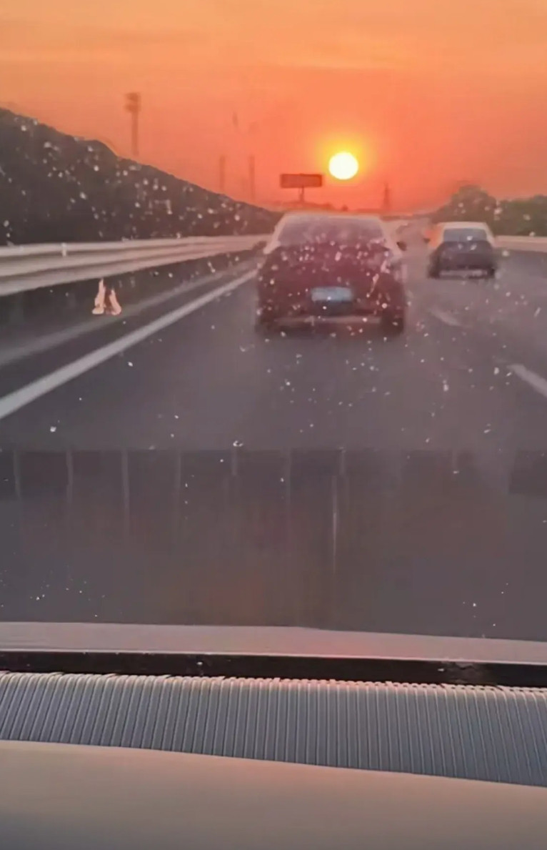 纯视觉智能驾驶辅助把太阳识别成黄灯。近日，一纯视觉方案智能辅助驾驶汽车的车主曝光