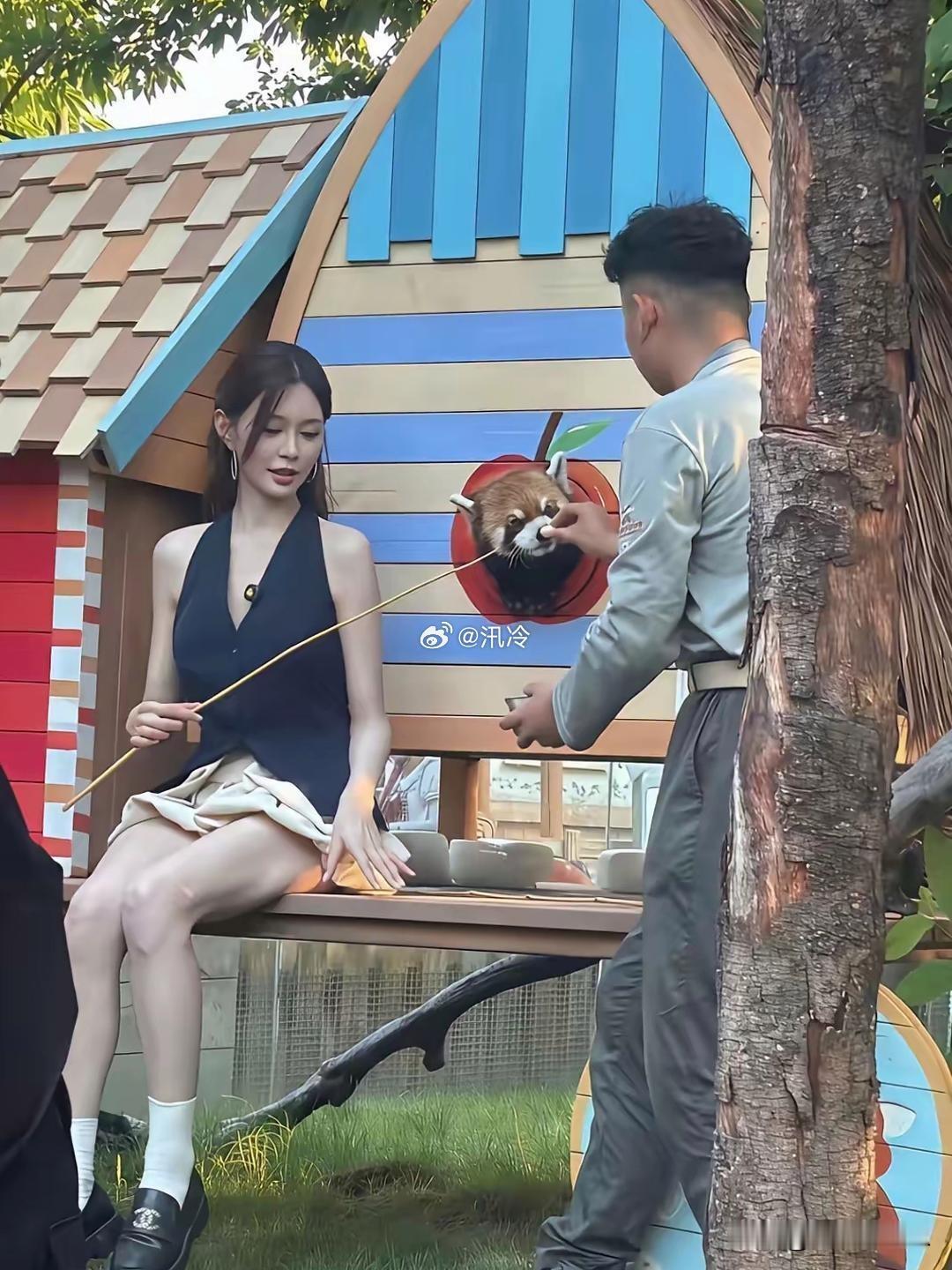 杜海涛的老婆沈梦辰，想当年也是芒果的台柱子