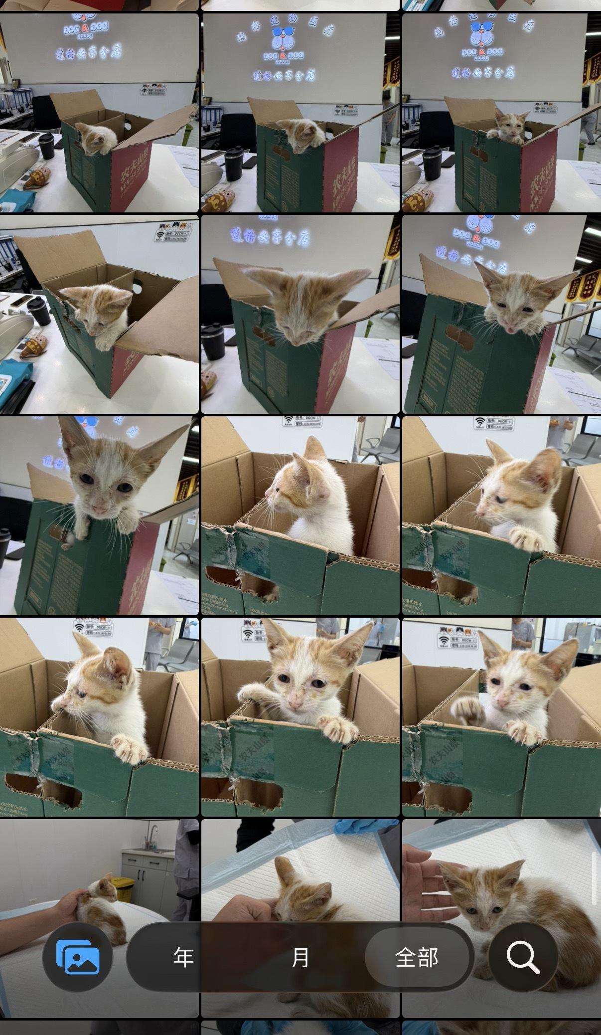 捡了只猫后我的相册bybike：​​​