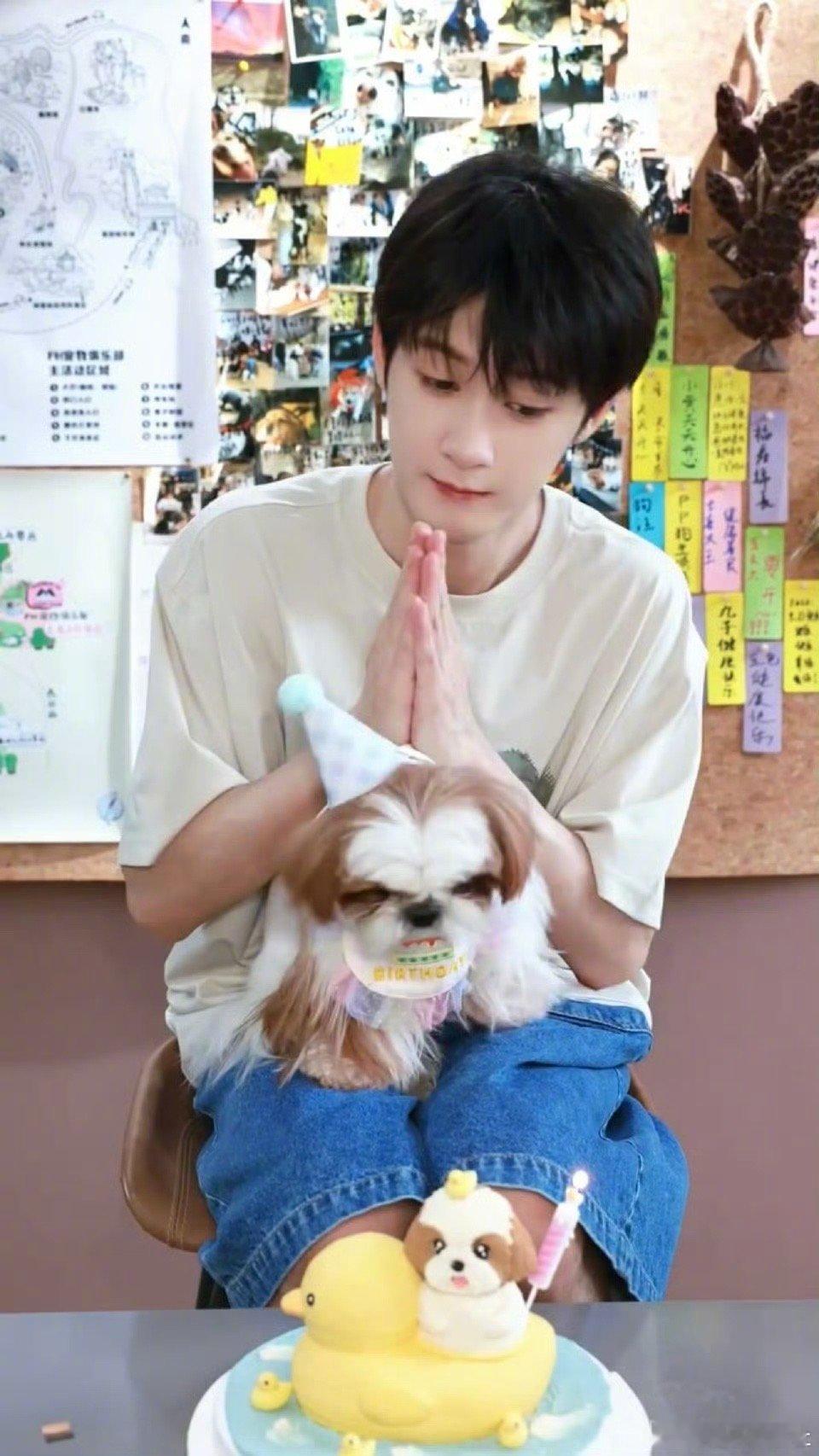 檀健次的狗狗🐶真的好幸福，檀健次给狗狗过生日🎂啦！​​​