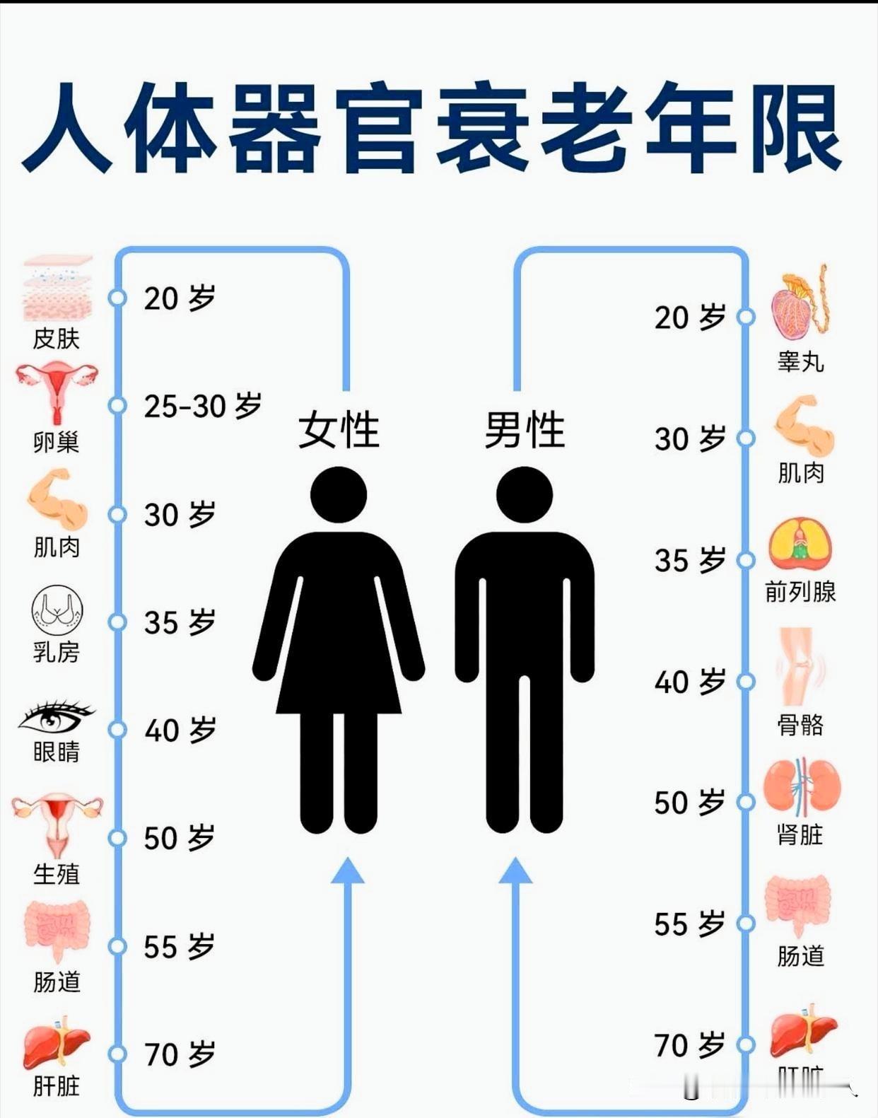 人体衰老排列