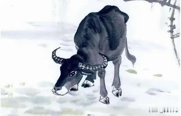 我姐供我读完大学，我结婚她随礼一百块，老婆当场摔了酒杯，晚上我打开红包愣住了我