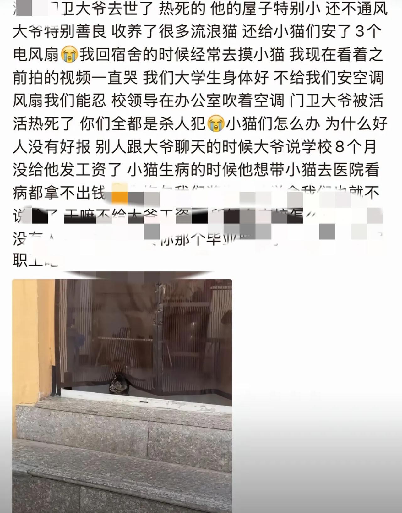 某大学门卫大爷因中暑去世了。学生们发帖怀念收养流浪猫的好大爷。某