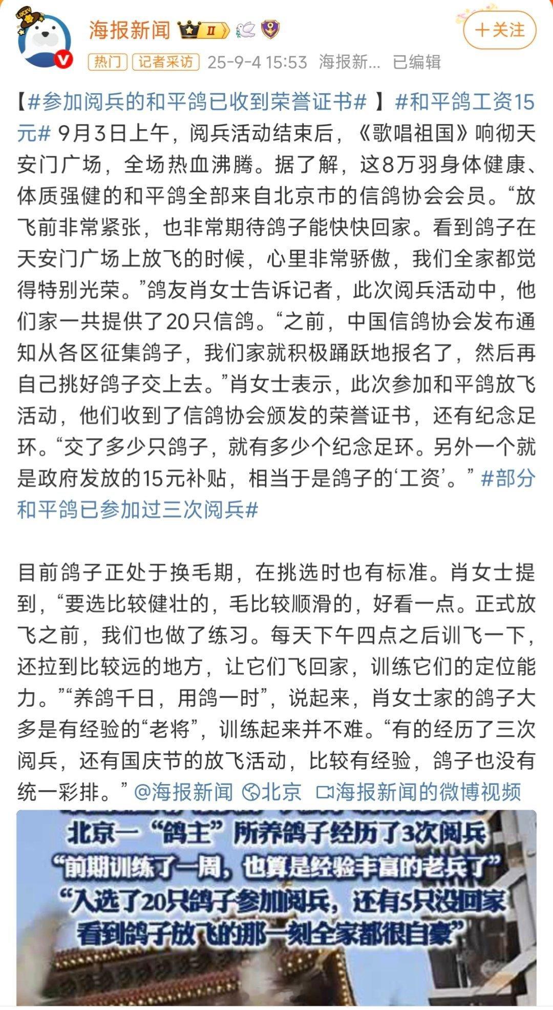 和平鸽工资15元这8万羽和平鸽确实来之不易，它们是从超过60万羽候选信鸽中层层选