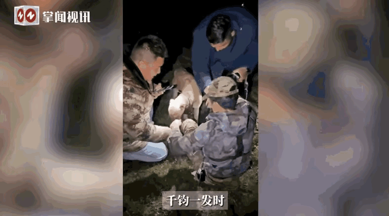 在四川阿坝的一个偏远山村，护农队队长李明带队上山执行任务时，突然遭到一头300多