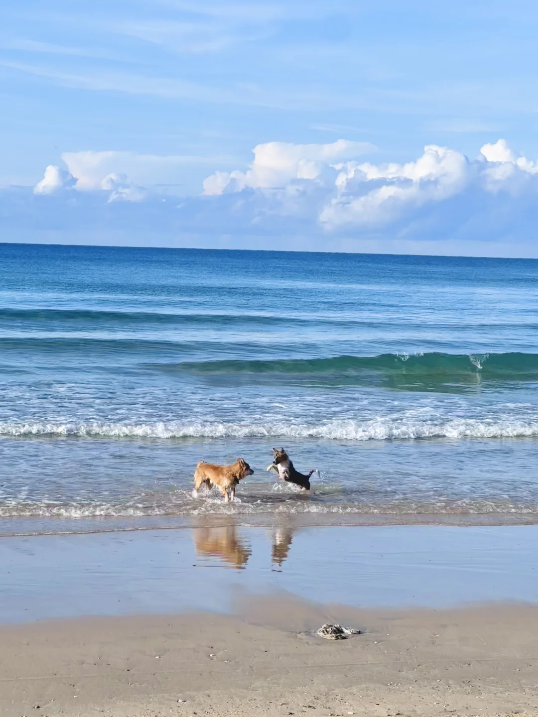 淡季的万宁，可以去这些地方看玻璃海躺平～