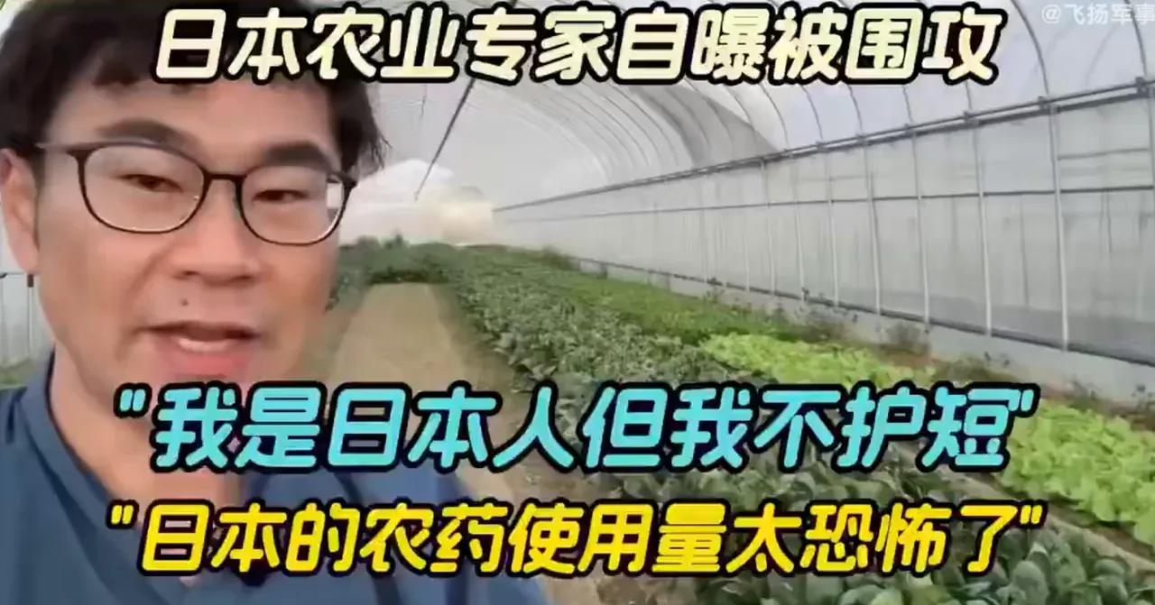日本农业专家自曝：我是日本人，但是我不护短。说实话，日本的农药使用量实在太恐怖了