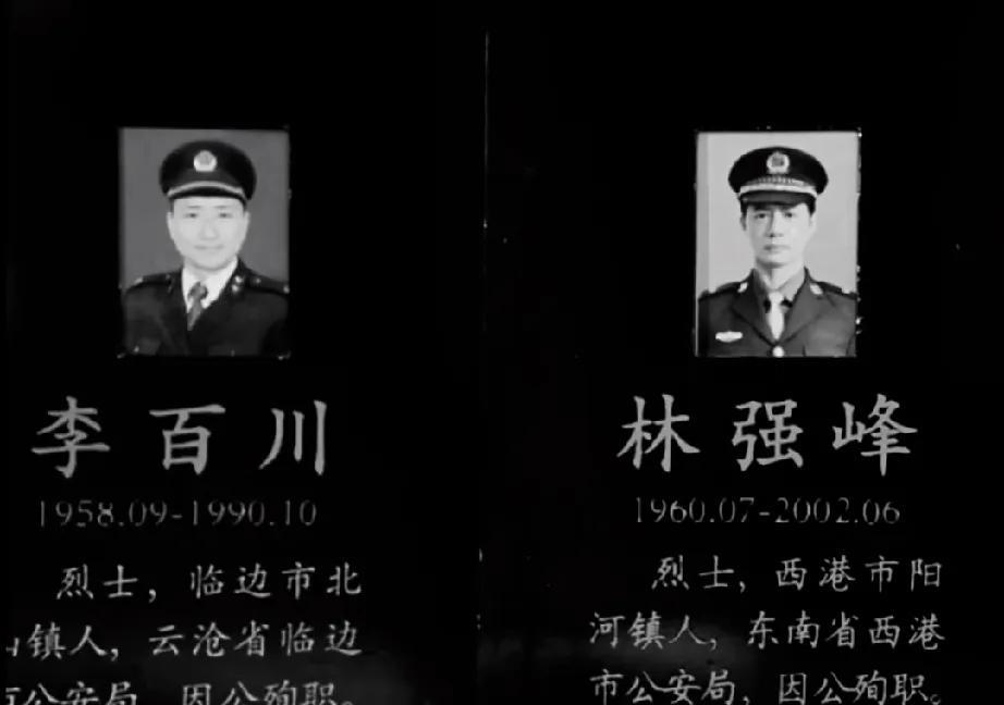 《扫毒风暴》林强峰牺牲，他的一生都献给了国家，致敬缉毒警！林强峰和杨威在出外警