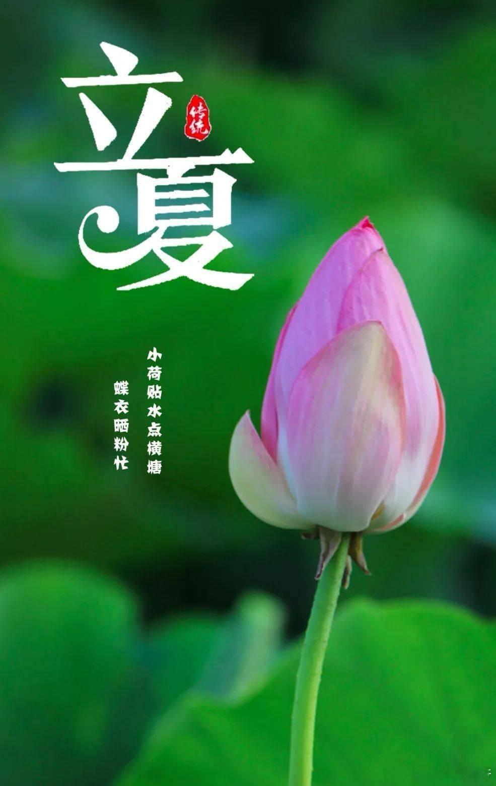 大家早！今日立夏！这是很多硕果即将丰收的开始！我们期待夏季的丰收！看到窗外鲜绿的